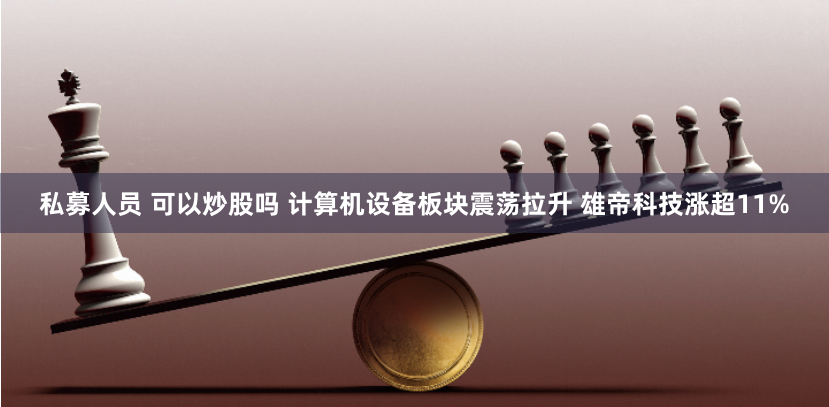 私募人员 可以炒股吗 计算机设备板块震荡拉升 雄帝科技涨超11%
